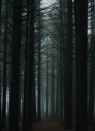 The lone forest