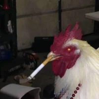 Gangsta chicken
