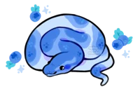 Blueberry Snake