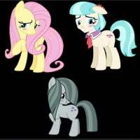 3 Shy Ponies Group