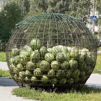 Watermelon in a cage