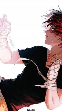 Shoto todoroki