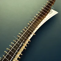 Sitar