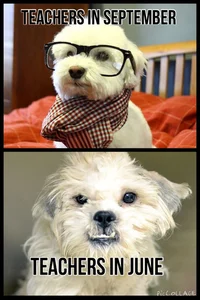 Takewondo Middletown