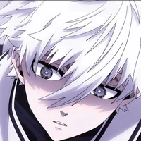 Nagi seishiro 