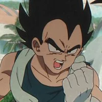 --Vegeta--