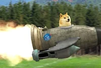 Rocket doge