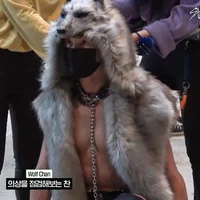 StrayKids Wolves AU