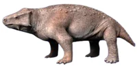 Parasaurus