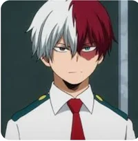 Shoto todoroki 