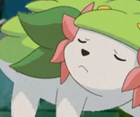 Mimi the shaymin