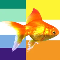 Mexican gay fish