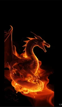Fire Dragon