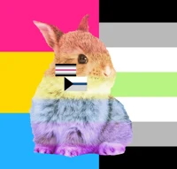 Italian gay bunny