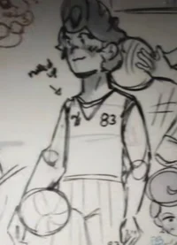 Volleyball wally