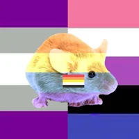 Slovakian gay mouse