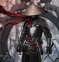 Lone Samurai