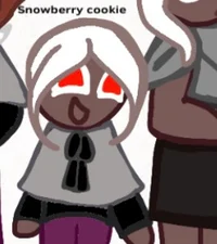 Snowberry cookie