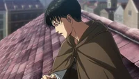 Levi Ackerman 