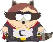 The coon