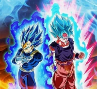 ToP Goku and Vegeta