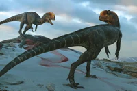 2 Dilophosaurs