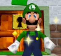 SM64DS Luigi