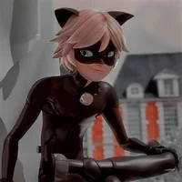 cat noir
