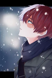 Shoto todoroki