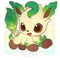Baby leafeon 