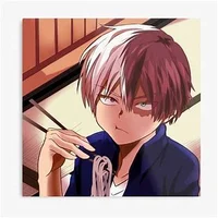 Todoroki Shoto