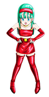 Bulla Bra Briefs