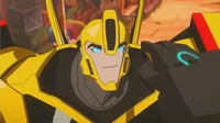 Bumblebee RID