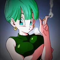 Bulma Brief