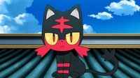 Litten