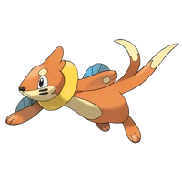 Buizel