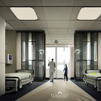 Birthing hospital
