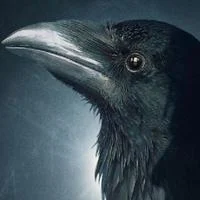 Matthew the Raven