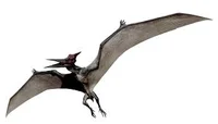 Pteranodon 