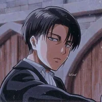 Levi