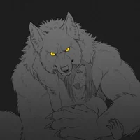 Werewolf -POV-