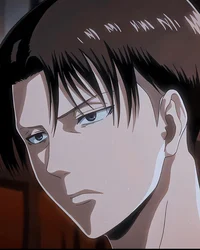 Levi Ackerman 