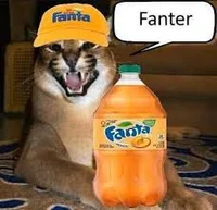 Fanter cat