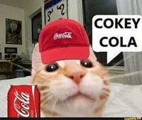 Cokey cola cat