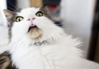 very toxic boyfriend