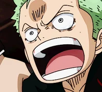 - Roronoa Zoro