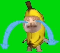 crying banana cat