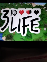 3rd life