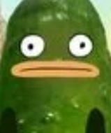 Pickle