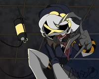 Serial Designation N